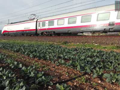Proprio mentre stiamo andando via vediamo sfrecciare un treno ad alta velocit�